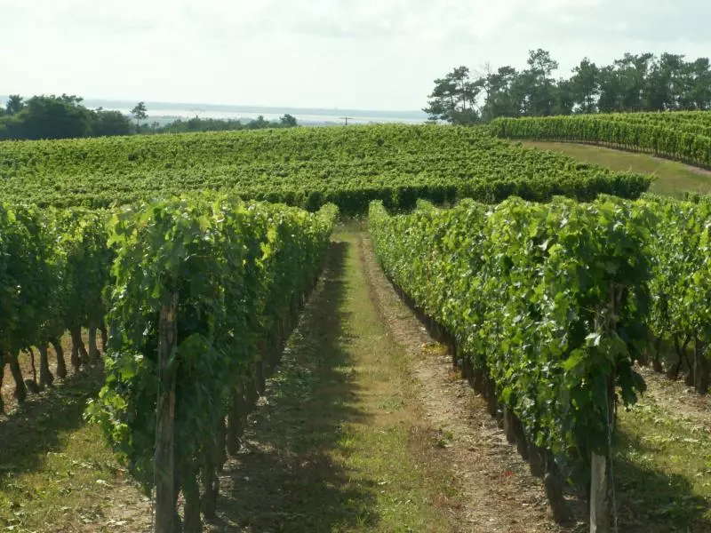 Gironde (c) Voyagemedia - RRinnau